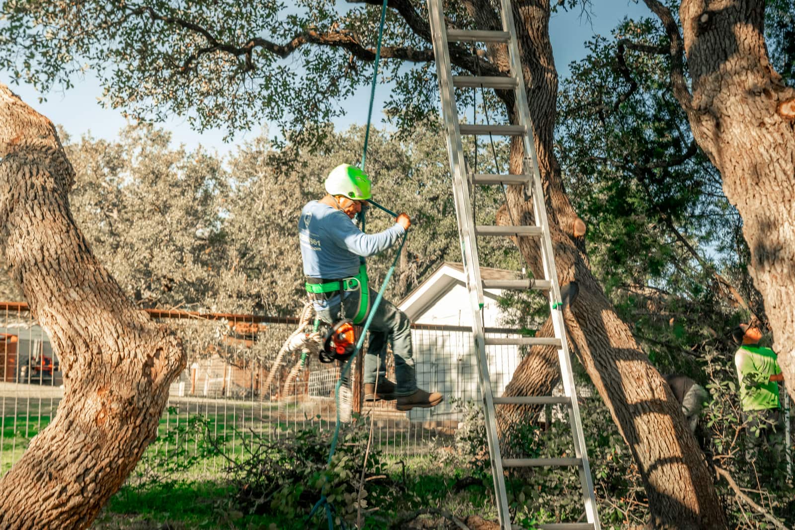 Brush removal in San Antonio