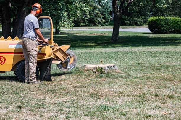 Root barrier installation in San Antonio