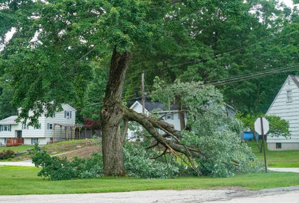 Storm damage cleanup in San Antonio