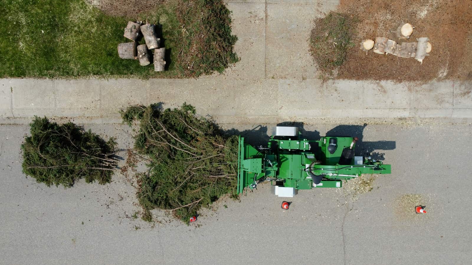 Stump grinding in San Antonio